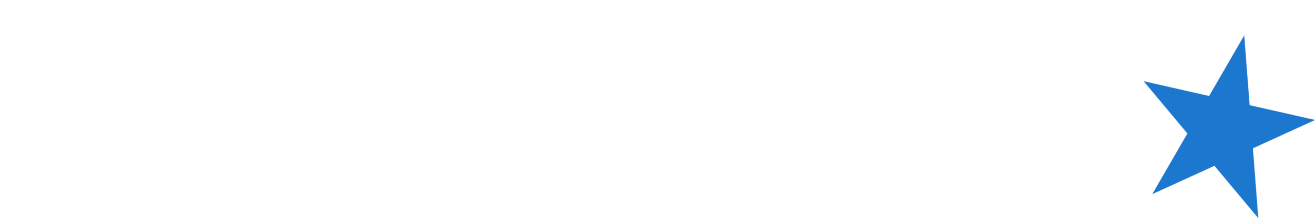 NorthStar Bets logo